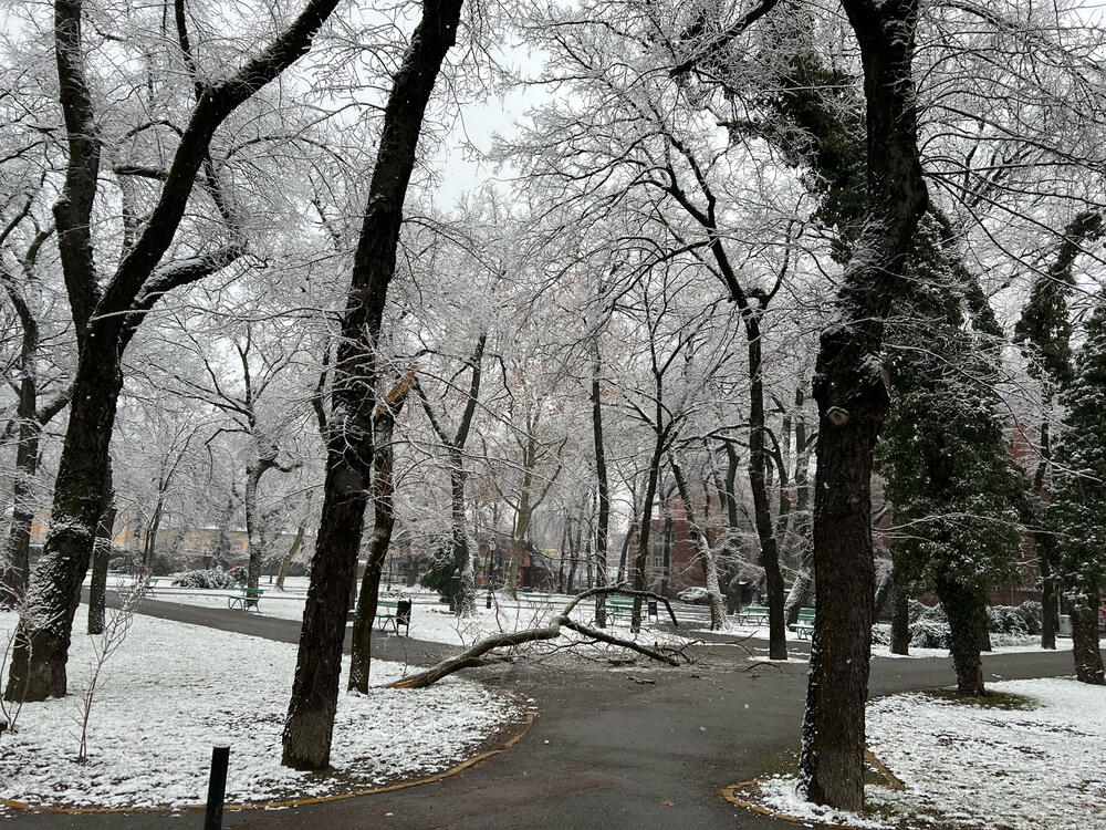 Subotica, ledena kiša