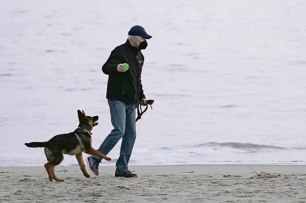 NEMAČKI OVČAR: Predsednik Amerike Džo Bajden s novim ljubimcem na plaži!