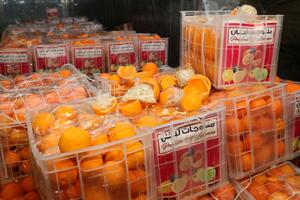 ULOV ZA PAMĆENJE: Zaplenjeno 9 miliona pilula amfetamina u lažnim pomorandžama u Libanu