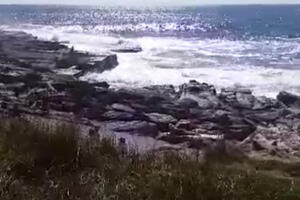 NA BLISKOM ISTOKU I SEVERU AFRIKE SNEG, A U AUSTRALIJI UŽIVAJU! Ovako se Australijanci provode na plaži u predgrađu Sidneja! VIDEO