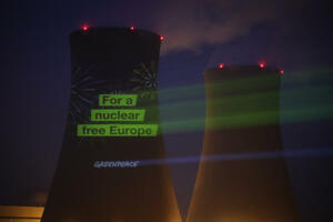 NEMAČKA NE ŽELI NUKLEARKE: Nuklearna tehnologija je opasna! Protvimo se planovima EU da to bude deo borbe za očuvanje klime!