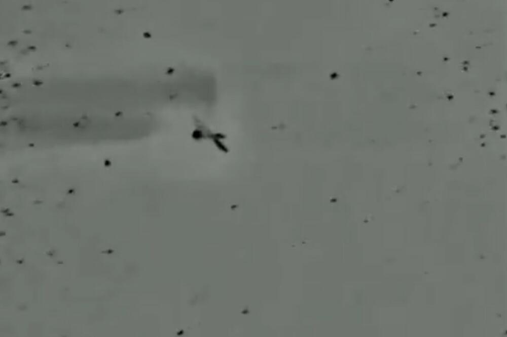 OVAKO NAPADAJU KAMIKAZA DRONOVI: Amerikanci snimili udar dve letelice na njihovu bazu u Iraku VIDEO