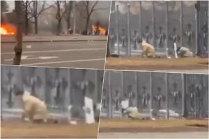 KAO U UKRAJINI 2014! Užasni snimci dolaze iz Kazahstana, pogođen jedan od pripadnika Snaga bezbednosti VIDEO