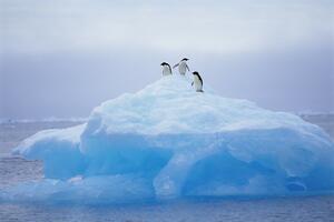 NAJNOVIJE OTKRIĆE Naučnici pronašli čestice mikroplastike u svežem snegu na Antarktiku