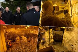 OTKRIVENA LABORATORIJA DROGE NA MRAMORSKOM BRDU! Uhapšeno 7 osoba, pronađeno 10,5 kilograma marihuane, na licu mesta i Vulin VIDEO