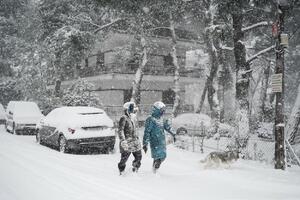 ZABELELO SE U GACKU I NEVESINJU: Treći aprilski sneg u Hercegovini VIDEO