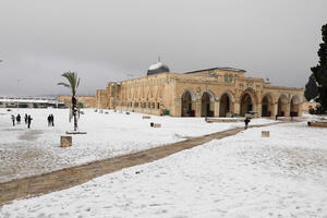JERUSALIM OKOVAN SNEGOM: Grad tokom noći pogodila snežna oluja, glavni putevi i škole zatvoreni VIDEO