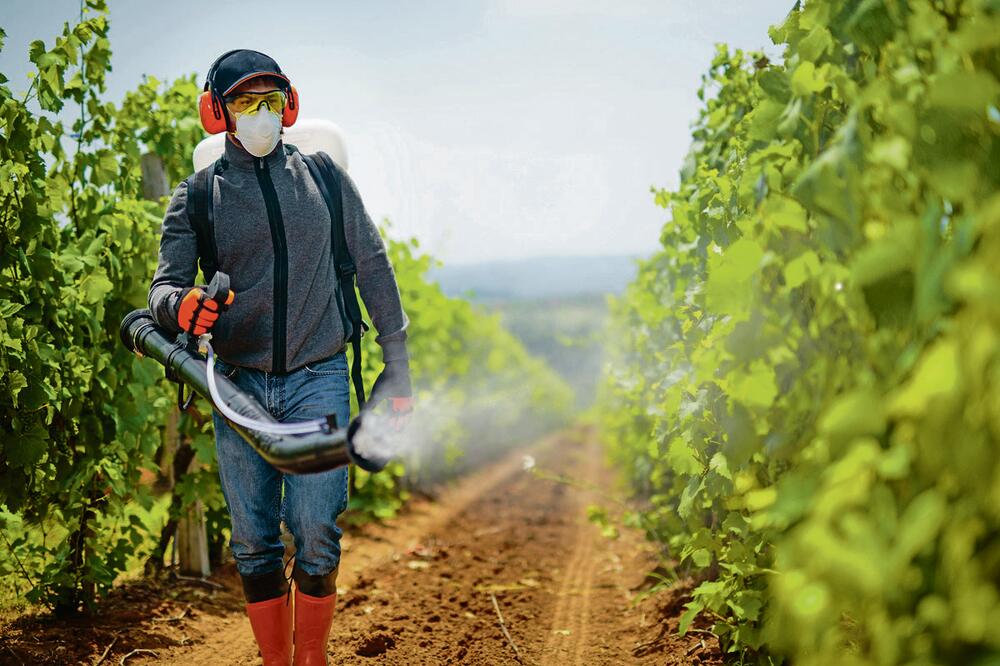 Upotreba pesticida za 25 godina skočila za 80 odsto