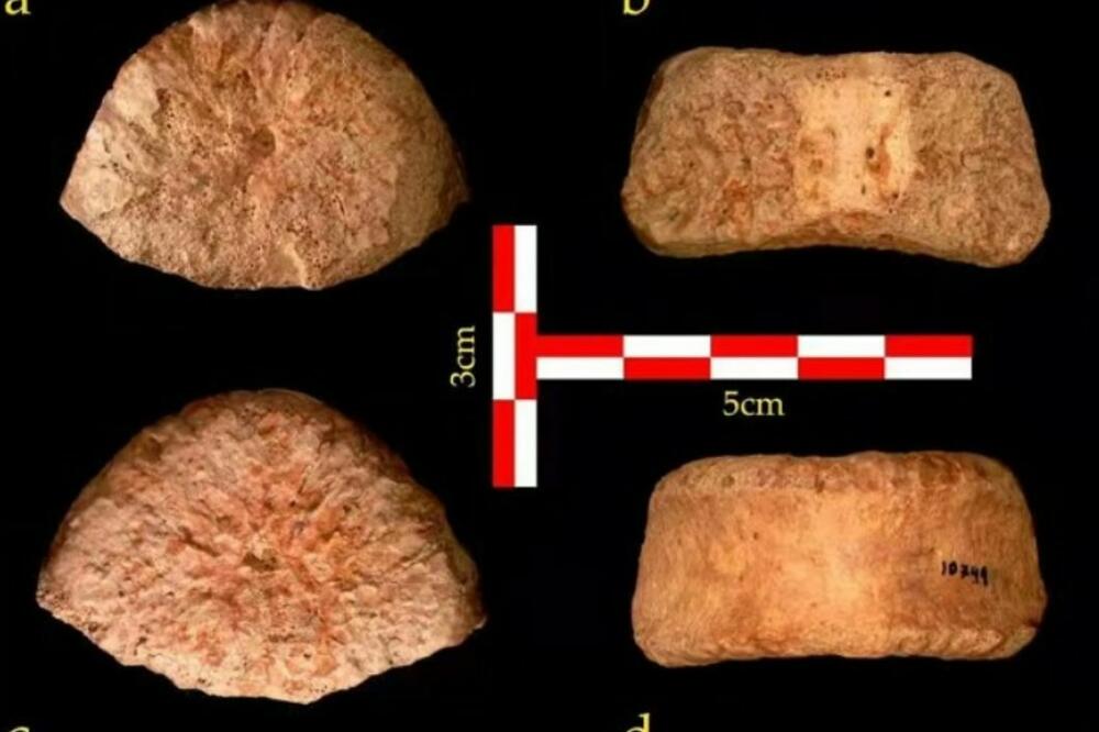 NEVEROVATNO OTKRIĆE: Pršljen deteta star 1,5 MILIONA godina nađen u Izraelu je najstariji dokaz o postojanju čoveka na tom tlu!