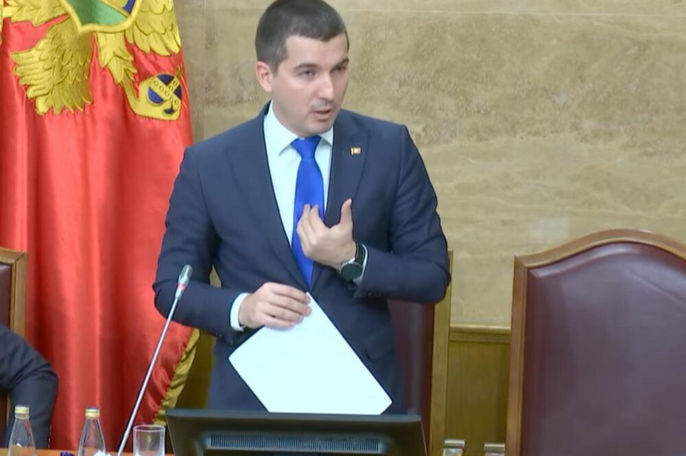 DEMOKRATE: Nije bilo reči da Aleksa Bečić bude mandatar za sastav nove vlade! Prerano je govoriti o tome