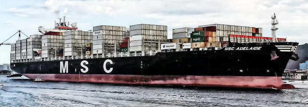 MSC Adelaide, Brod Adelaide, Adelaide, Ubijen Srbin, zaplena kokaina, Đenova, brodski kontejneri
