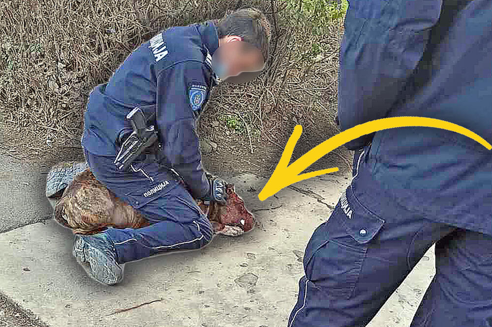 Policajac savladao razjareno kuče 
