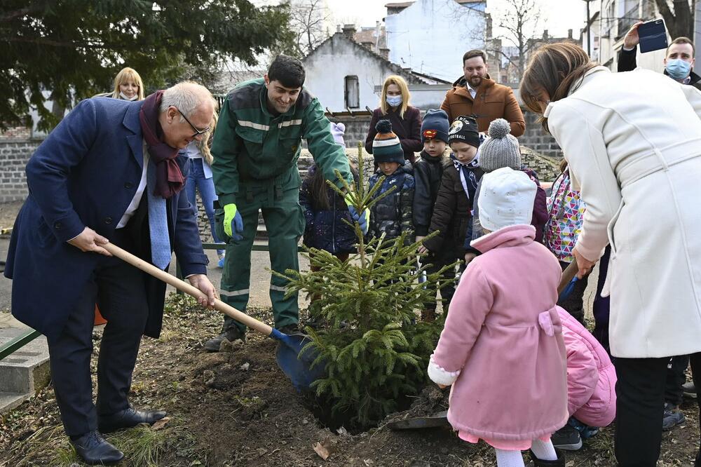 VESIĆ: Grad Beograd će renovirati dvorište vrtića "Skadarlija"! Počela sadnja jelki