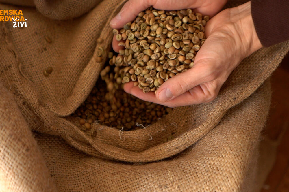 Da li se će se kafa uzgajati u Sremu - ne još, ali u Sremskoj Mitrovici postoji KUĆA KAFE