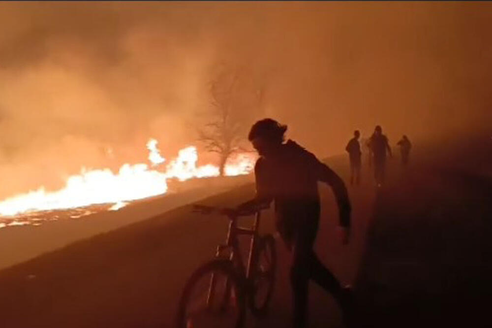 DRAMATIČNI SNIMCI SA NASIPA U FUTOGU: Ljudi beže od vatre! Veliki požar zahvatio rastinje, brzo se širi zbog vetra (VIDEO)