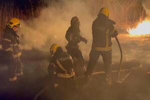 JEZIVA SCENA U NOVOM SADU: Izgorela vikendica u Kamenjaru (FOTO)