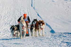 EPSKA TRKA NA VRHU SVETA: U snežnoj divljini Aljaske pobednici su svi koji izađu na stazu dugu više od 1.700 km NEVEROVATNO