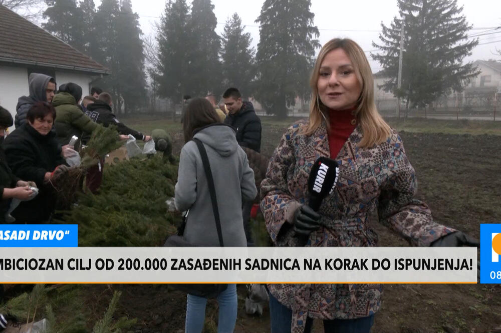 VELIKA NEDELJA ZA AKCIJU ZASADI DRVO! Na korak do ispunjenja cilja od 200.000 sadnica: Kreću iz Kraljeva ka školama širom Srbije