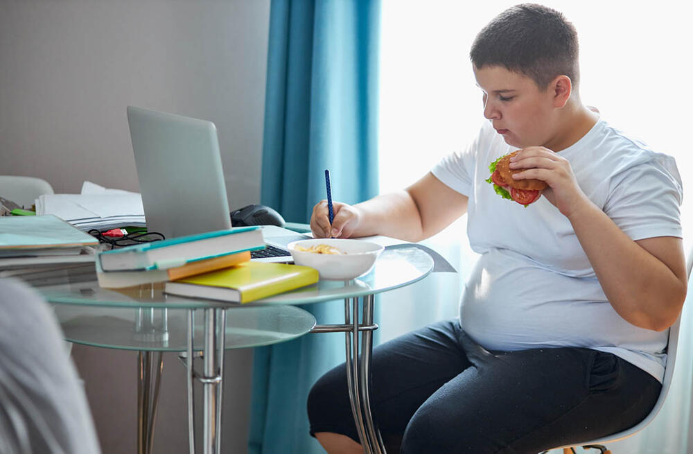 dete, gojazno, gojaznost, deca, Laptop, kompjuter, domaći, škola, hrana, ishrana