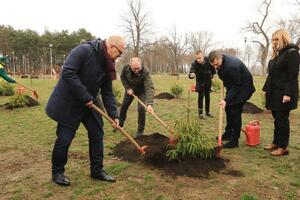 VESIĆ: VODIMO RAČUNA O ZAŠTITI ŽIVOTNE SREDINE! Posađeno 35 stabala povodom 35 godina Beogradskog maratona