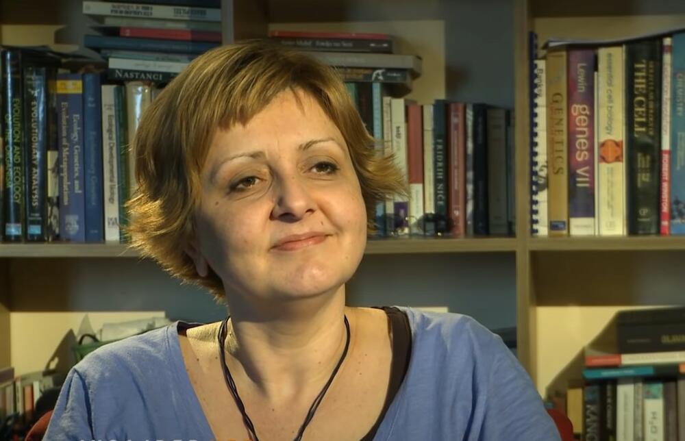 Biljana Stojković, Moramo