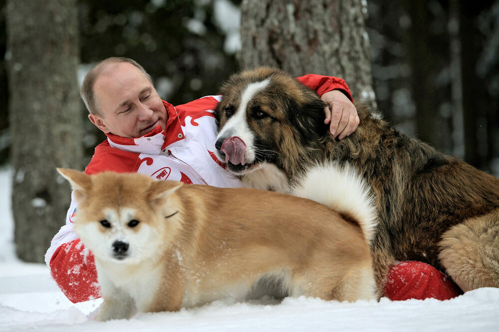 OD DIVLJIH MAČAKA DO PASA: Ovo su ŽIVOTINJE koje žive sa Putinom u rezidenciji, a jedna od njih mu je bila i DESNA RUKA (FOTO)
