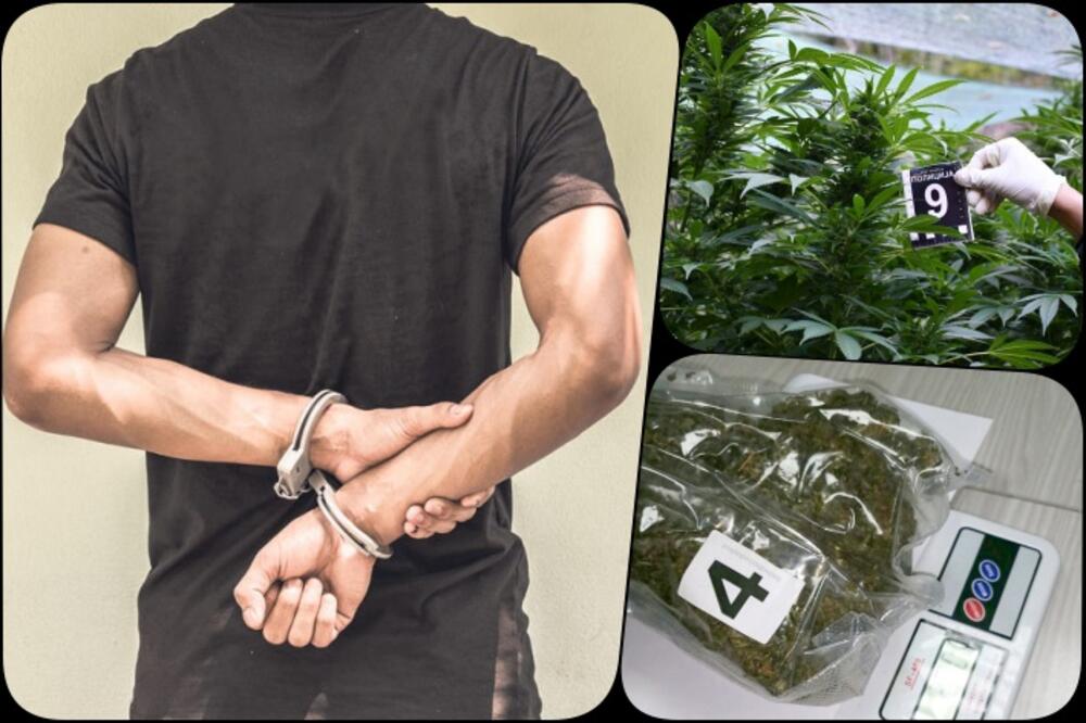 PAO DILER (30) U KLADOVU: Policija zaplenila drogu vrednu više od 3.000 evra