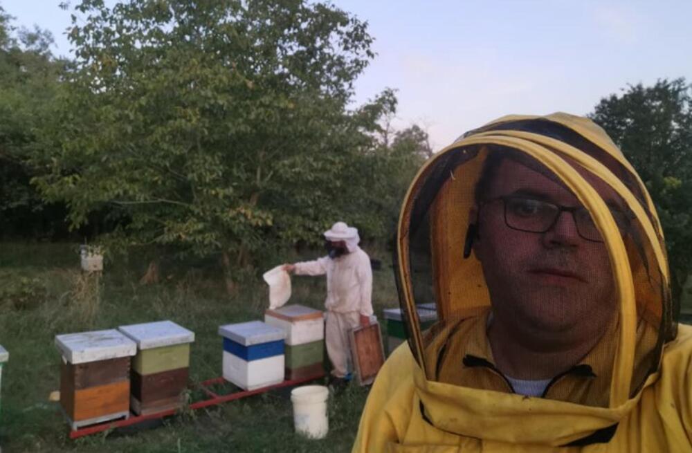 Savo Tadić, med, pčele, pčelar, Stanišić