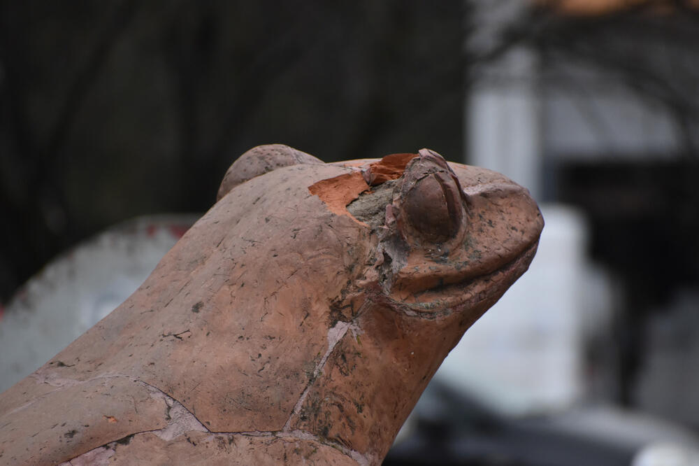 HULIGANI U KIKINDI NE MIRUJU: Vandali razbila deo glave na čuvenoj skulpturi žabe