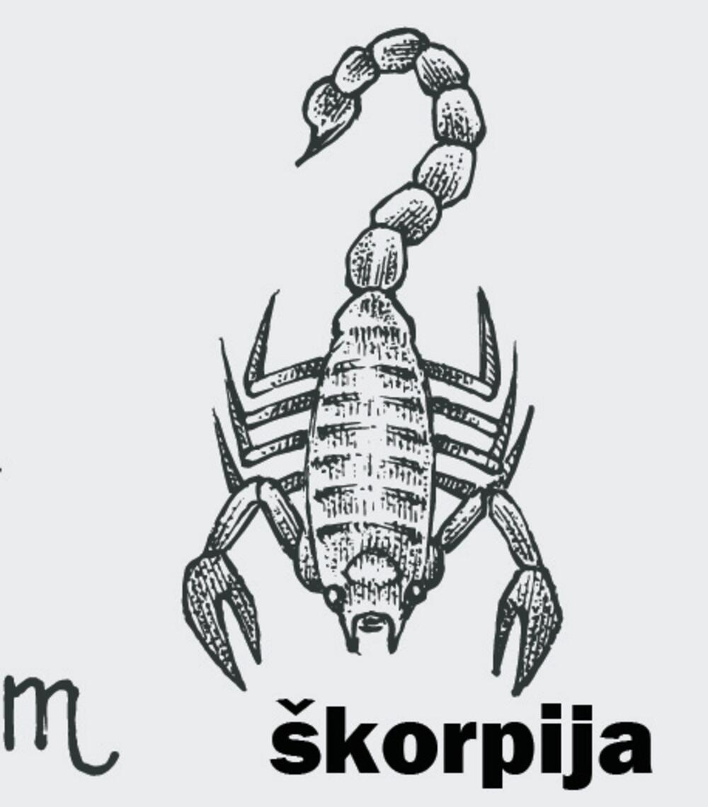 Horoskop, horoskopski znaci, beli znaci horoskopa, Škorpija