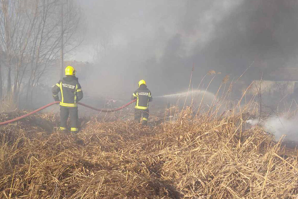 U SUBOTICI GORELI TRSKA I NISKO RASTINJE: Vatrogasci brzo reagovali i lokalizovali požar