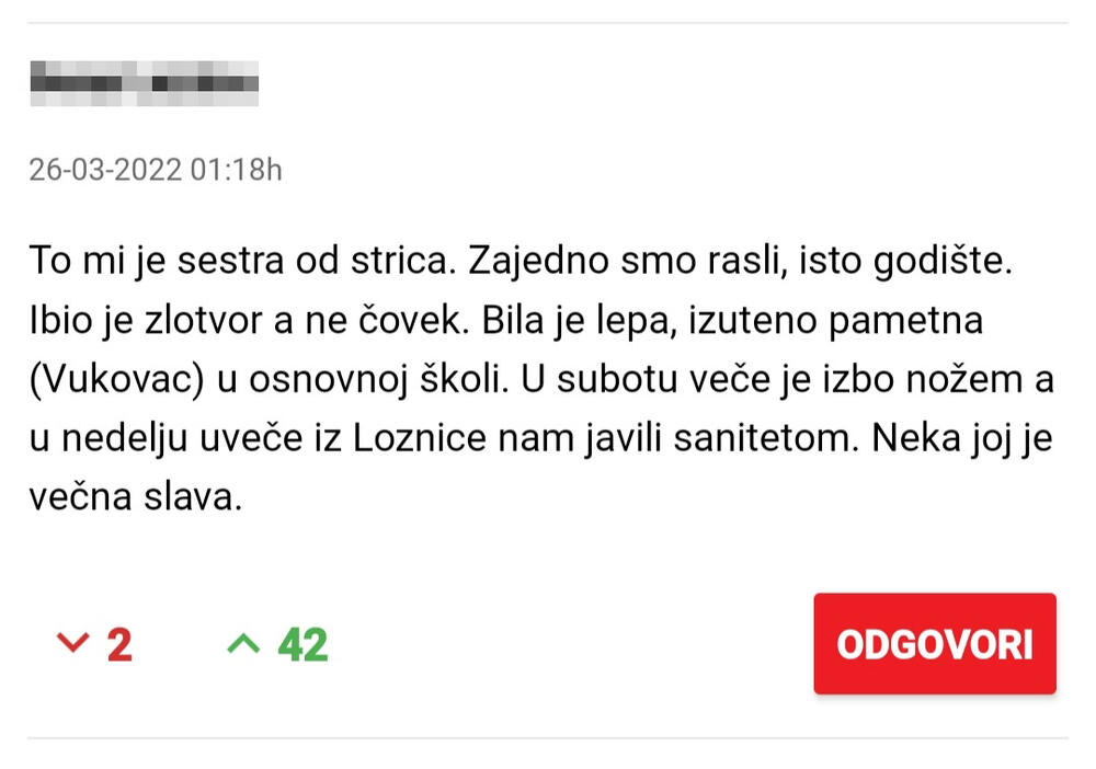 Goran Loznica, komentari