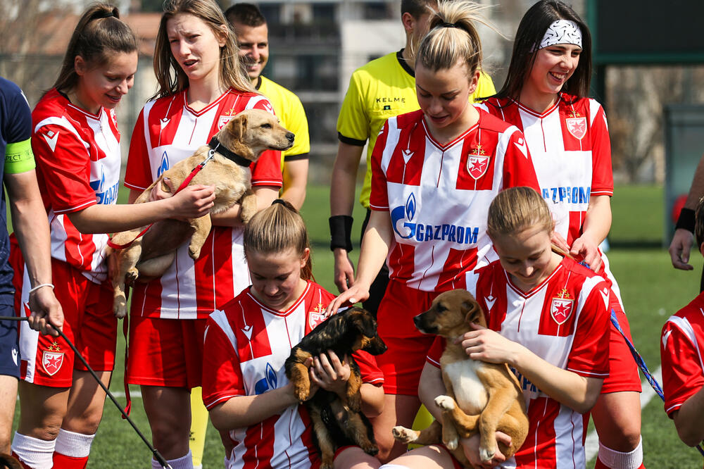 NEOBIČNA HUMANITARNA UTAKMICA NA MARAKANI: Zvezda igrala za nezbrinute životinje! (VIDEO)