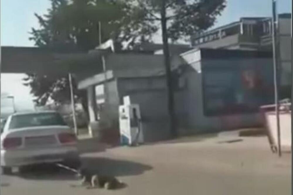 ĆIRKO JE DOBRO, SAMO SAM HTEO DA GA VRATIM KUĆI: Saslušan čovek koji je vukao psa automobilom u Bujanovcu