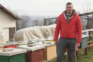 STRAH OD POMORA PČELA NIKAD VEĆI: Nesavesni voćari prskaju pesticidima u svako doba dana i u ogromnim količinama