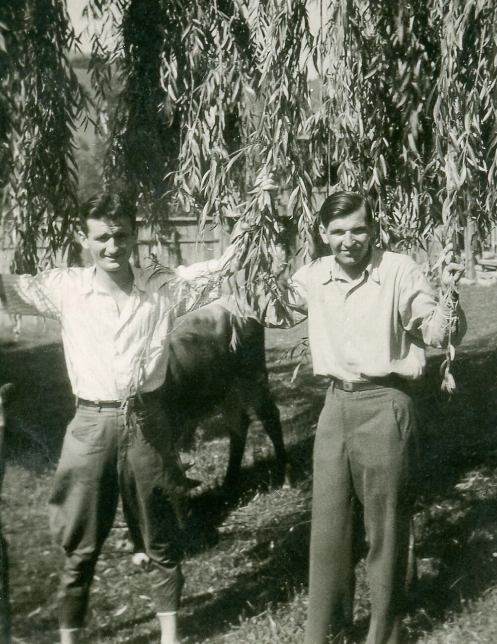 Vladimir Perić Valter (levo)