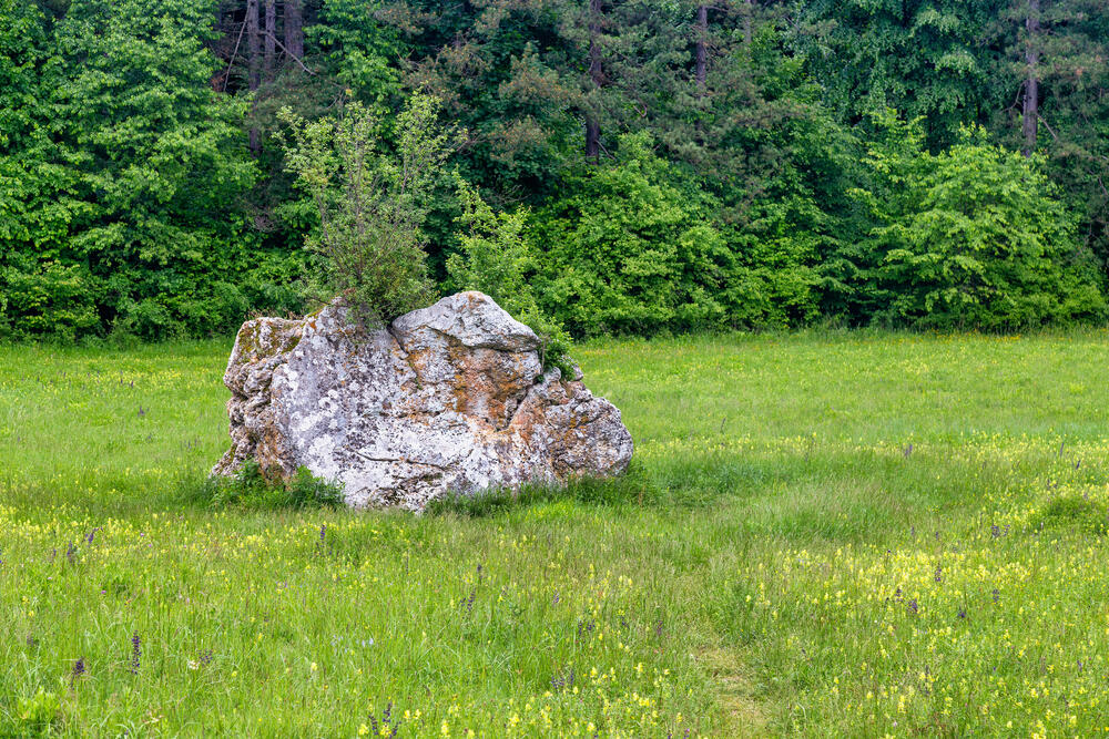 Kamen ljubavi, Soko Banja, Ozren planina
