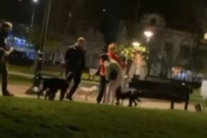 MA, KO TE J... KAD DRŽIŠ PSA U RUKAMA: Džumbus u beogradskom parkiću, prvo se pokačili kučići a onda i vlasnice! (VIDEO)