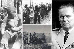 KLANICA SRPSKE OMLADINE: Dan kada je 1945. probijen krvavi Sremski front! Da li je TITO NAMERNO ŽRTVOVAO GOLOBRADE MLADIĆE