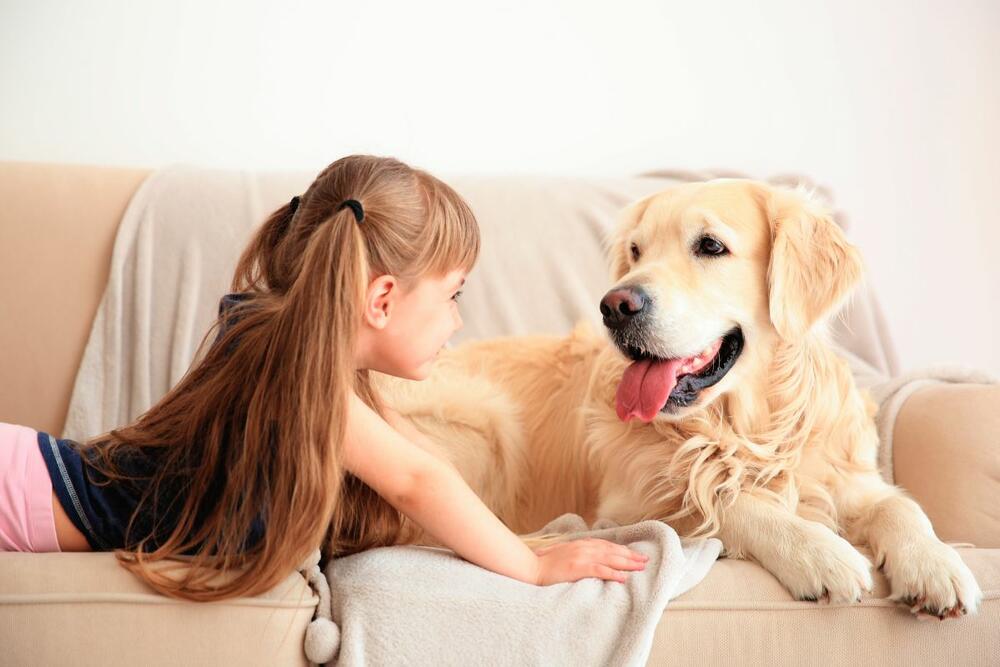 ljubimac, pas, pas i devojčica