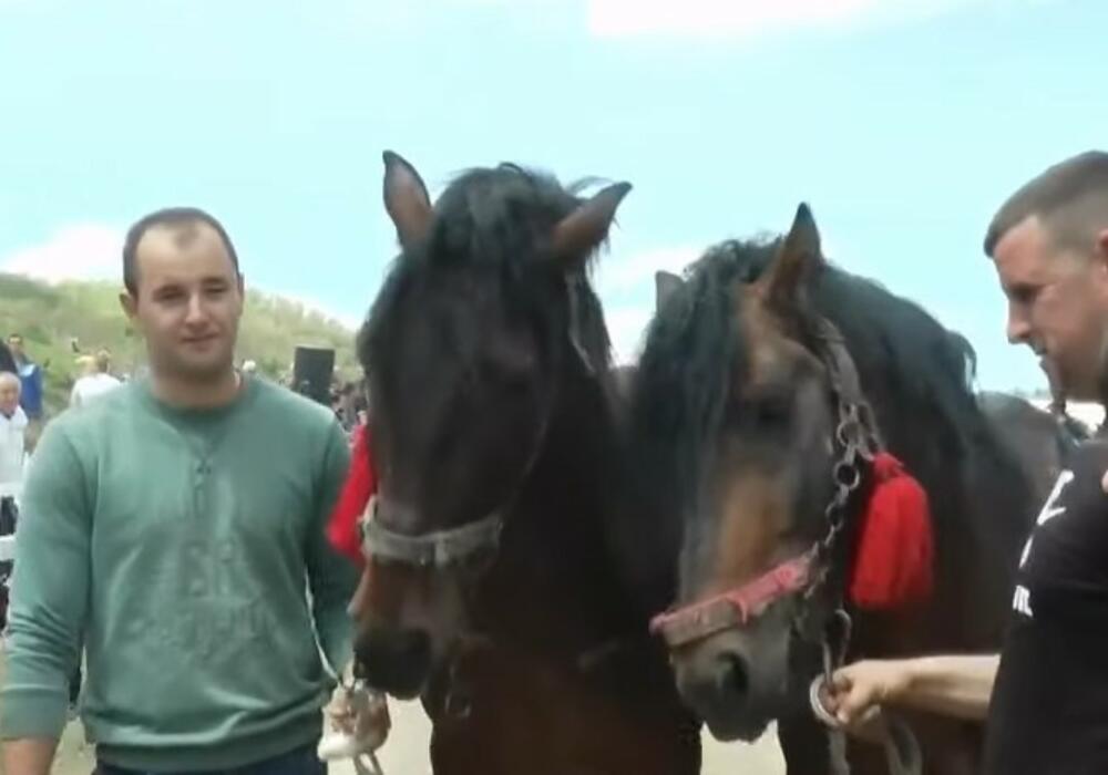 Štraparijada, konj, konji, Boljkovci