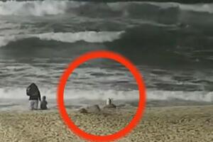 KOJOT NAPAO BEBU IZ POTAJE: Detalji horora na kalifornijskoj plaži, dete prevezeno u bolnicu, porodica u šoku! VIDEO