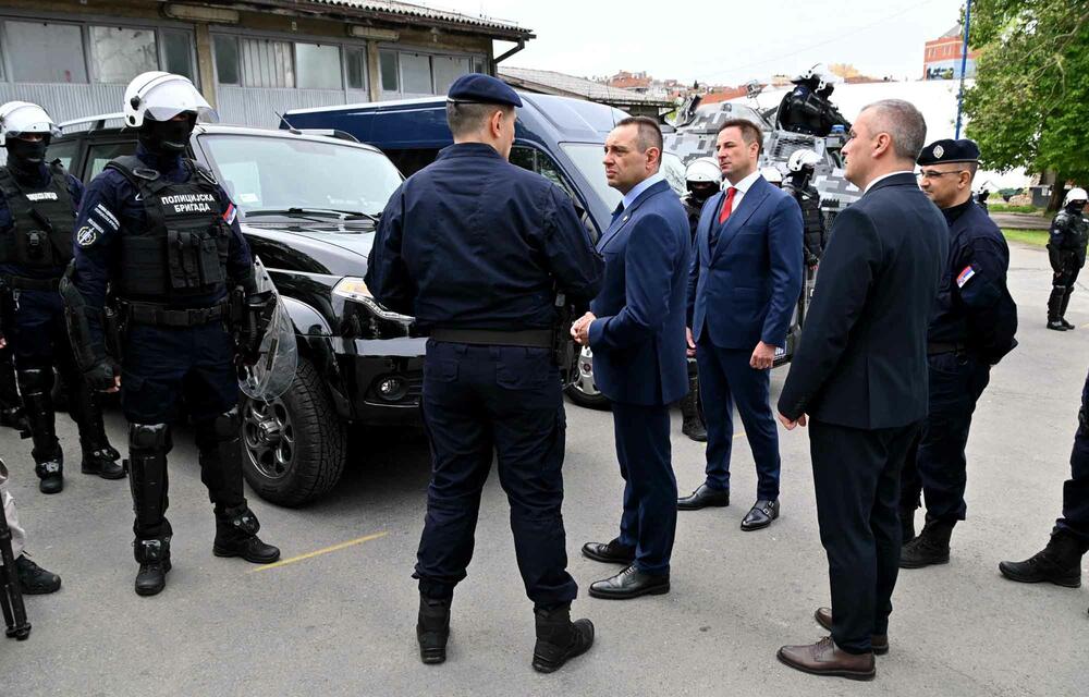 Aleksandar Vulin, Dan policijske brigade