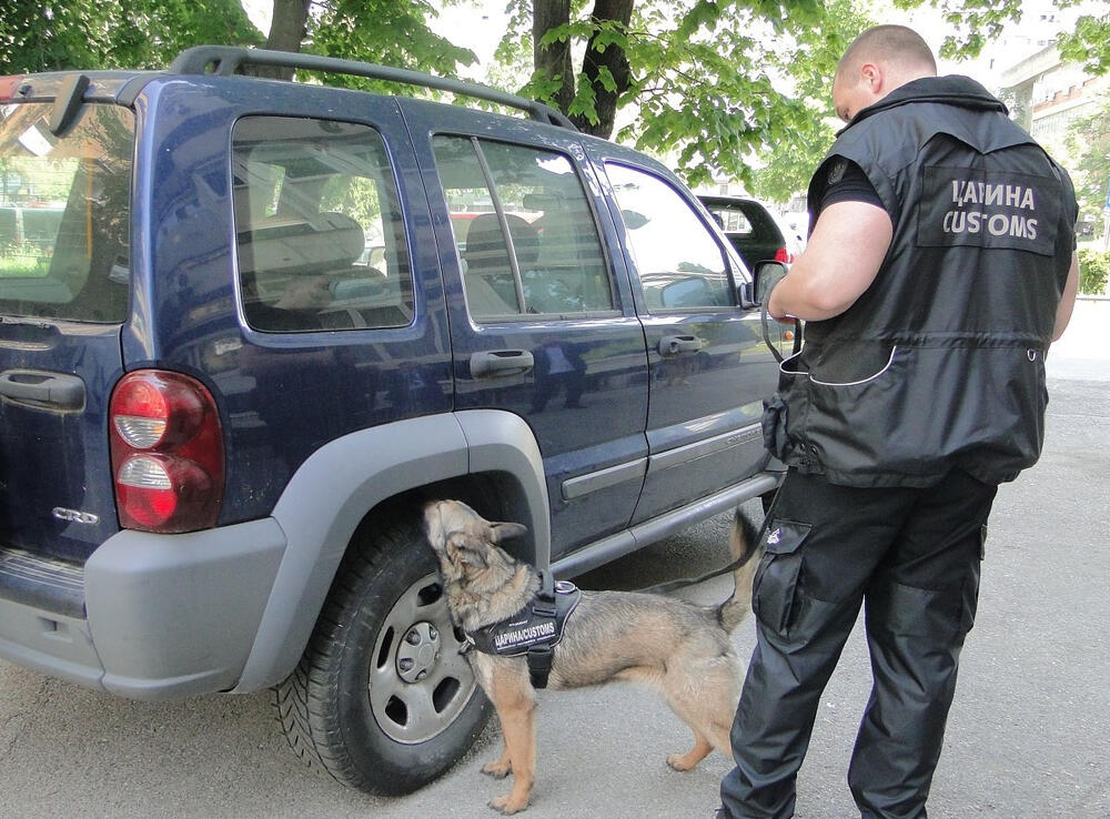 Policijski Pas, Policijski psi, belgijski ovčar, carinski psi, carina, pas, psi, Službeni Pas, službeni psi