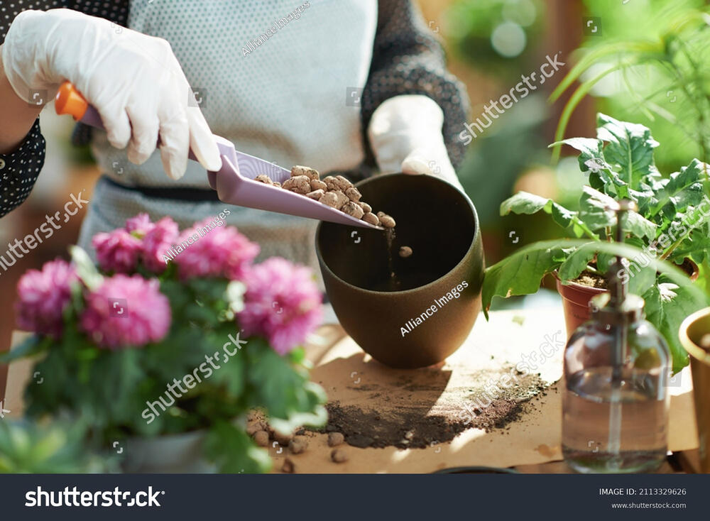 cveće, presađivanje cveća, saditi cveće, balkon