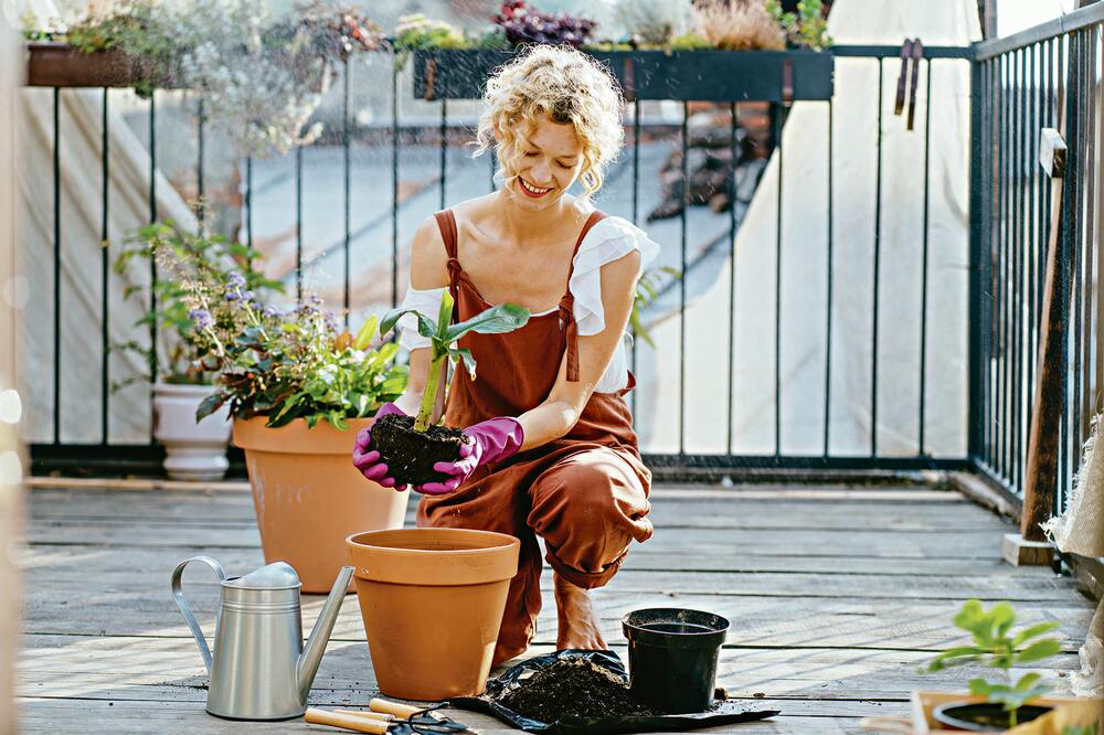 NEKA BALKON ZABLISTA: Ako još uvek niste zasadili ili presadili cveće u svom domu, sada je pravi trenutak za to