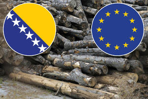 SAV OGREV IZ BIH ODE U EU: Firme iz komšiluka upozoravaju da iz zemlje dnevno izađe 700 tona drveta i peleta!