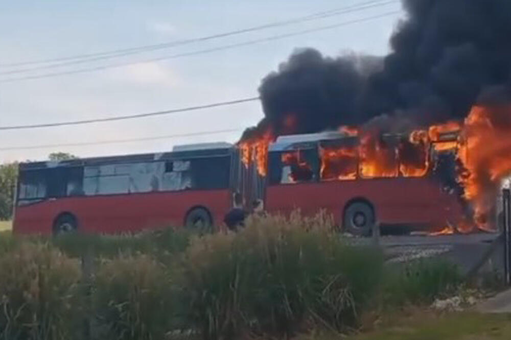 IZGOREO LASTIN AUTOBUS: Vozilo se zapalilo u mestu Ratari kod Obrenovca! VIDEO
