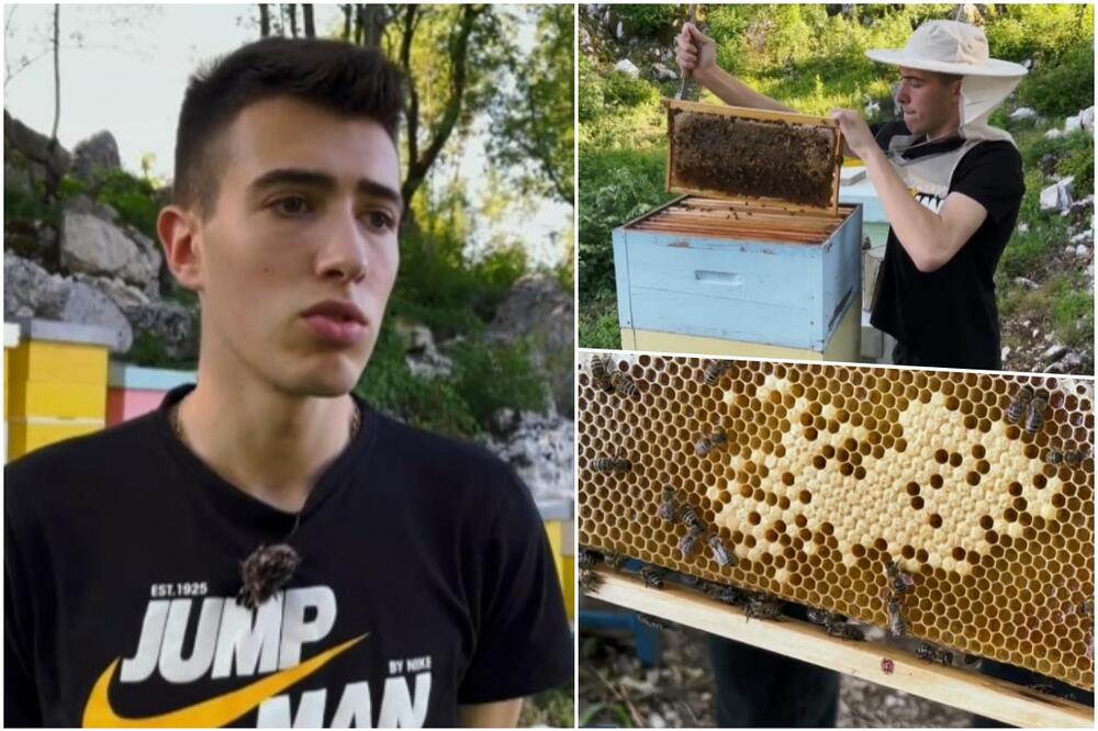 OSNOVAC BIZNISMEN IZ NIKŠIĆA: Matija (17) se već godinama uspešno bavi pčelarstvom, počeo od jednog roja, sada ima 30 košnica