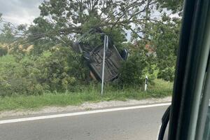 NISAM VEROVAO ŠTA VIDIM ISPRED SEBE: Auto završio u krošnji drveta kod Topole, prolaznici ostali bez teksta (FOTO)
